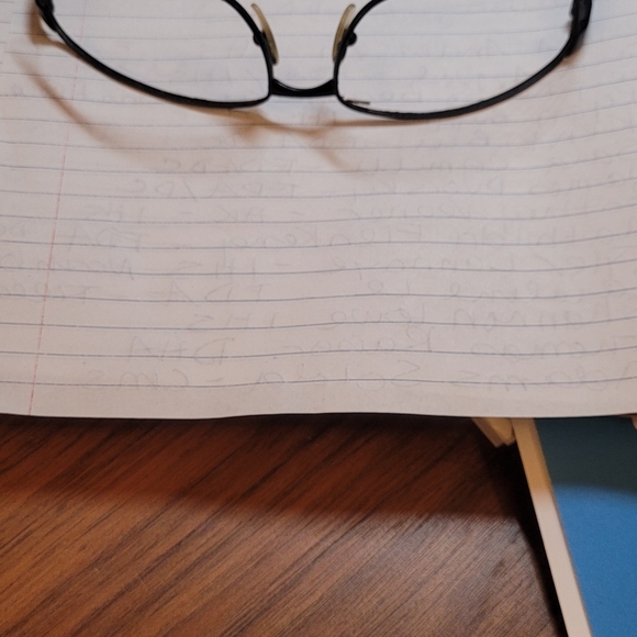 Ray Ban Frames with Case - Picture 3 of 3